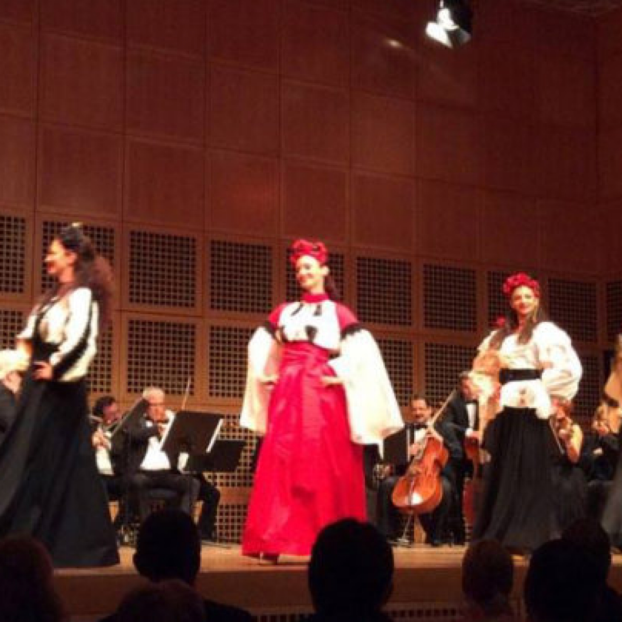150 de ani de Regalitate in Romania, sarbatoriti in costum contemporan la Düsseldorf